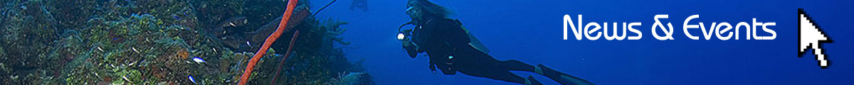 News-Events-2013