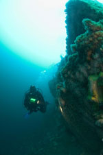 Diving The Bills, Connemara, photo by Louise Murray