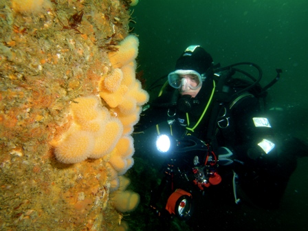 Boat Dive, West of Ireland