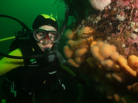 Final Dive of the PADI Openwater Course, Carrigaddy Rocks