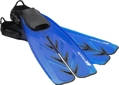Oceanic Vortex V8 Fins