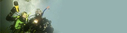 PADI Drysuit Diver